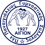 帕納基奧斯队标
